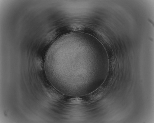 X0000091580316200708271226