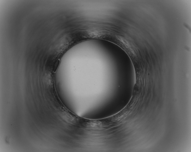 X0000091580317200708271226