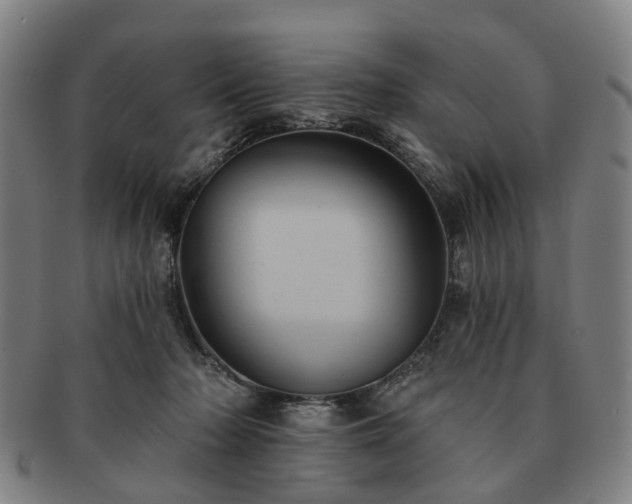 X0000091580318200708271226