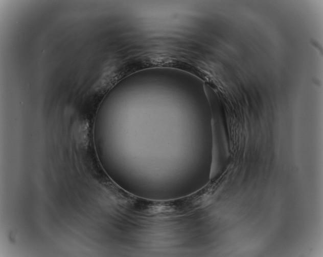 X0000091580319200708271226