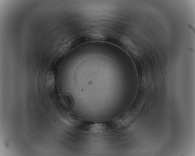 X0000091580320200708271226
