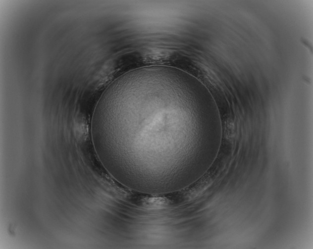 X0000091580324200708271226