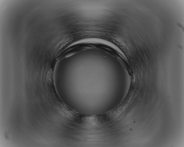 X0000091580325200708271226