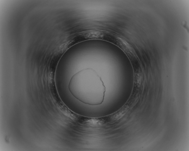 X0000091580326200708271226