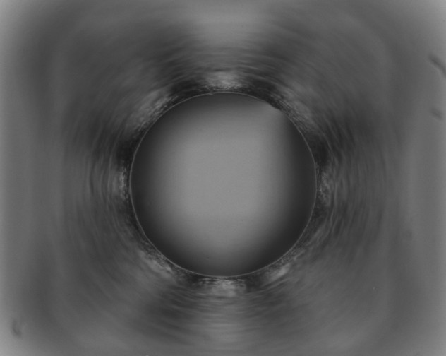 X0000091580330200708271226