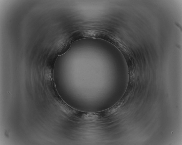 X0000091580331200708271226