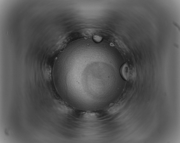 X0000091580332200708271226
