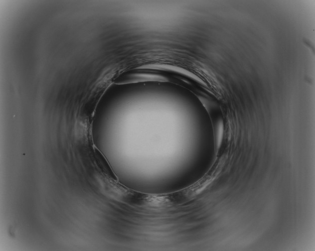 X0000091580333200708271226