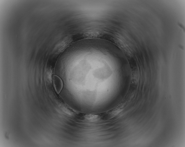 X0000091580334200708271226