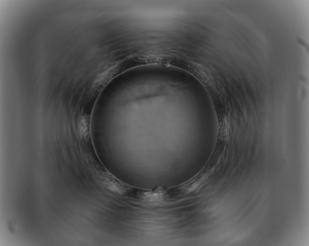 X0000091580335200708271226