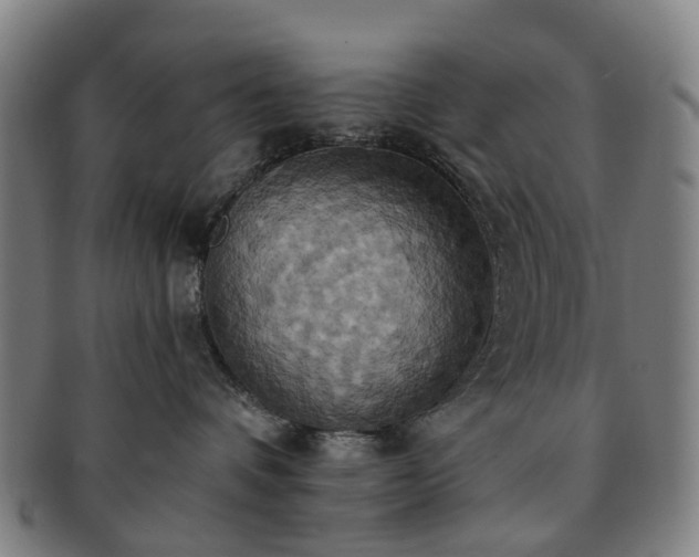X0000091580336200708271226