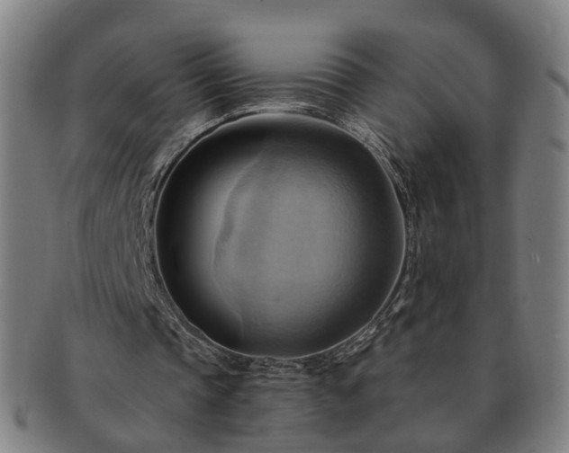 X0000091580337200708271225
