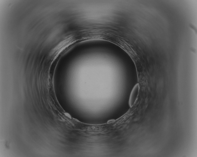 X0000091580338200708271225