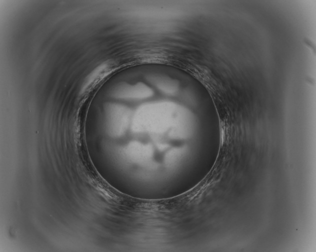 X0000091580339200708271225