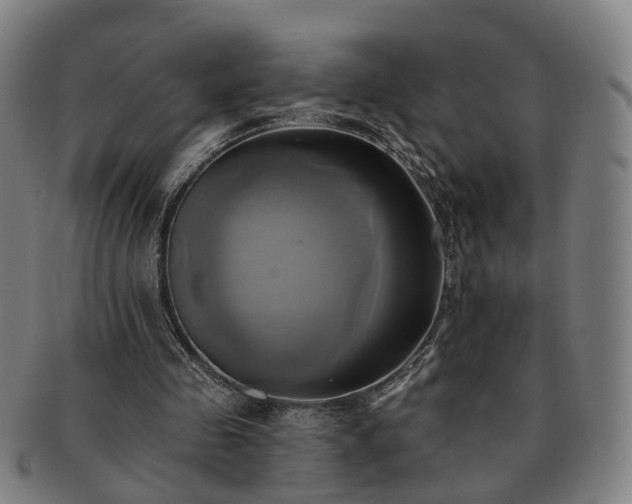 X0000091580341200708271225