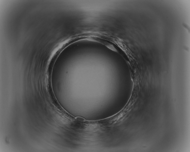 X0000091580342200708271225