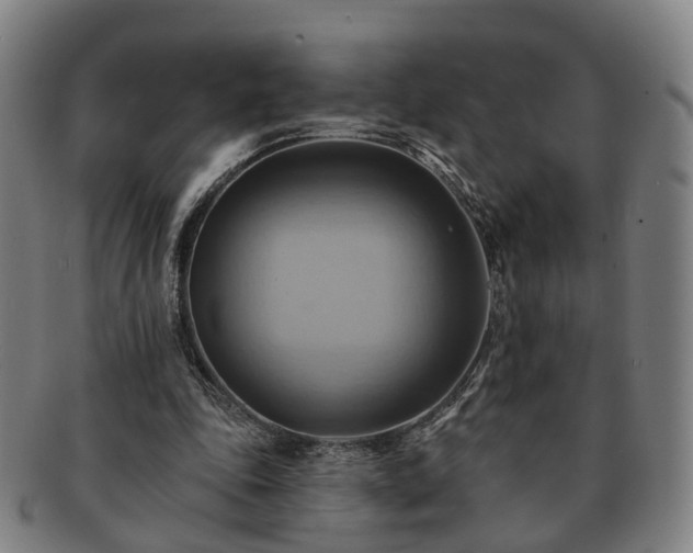 X0000091580343200708271225