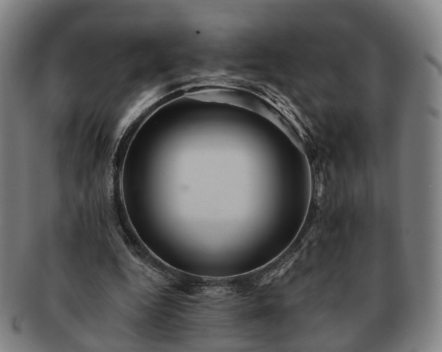 X0000091580344200708271225