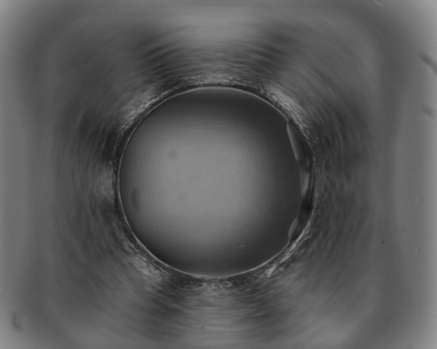 X0000091580345200708271225