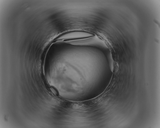 X0000091580346200708271225