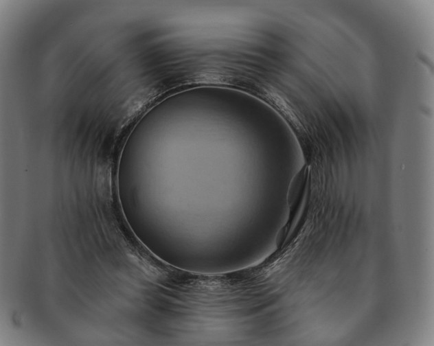 X0000091580349200708271225