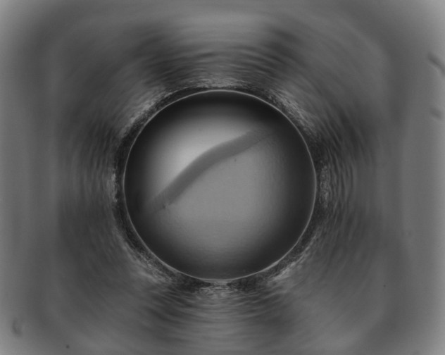 X0000091580351200708271225