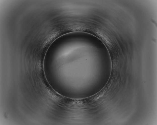 X0000091580353200708271225