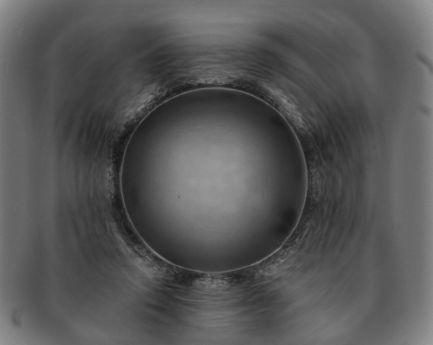 X0000091580354200708271225