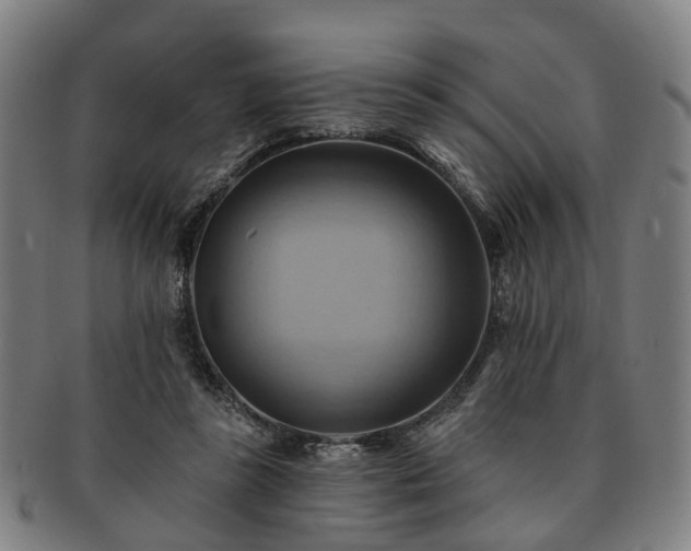 X0000091580355200708271225