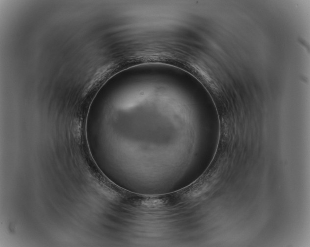 X0000091580357200708271225