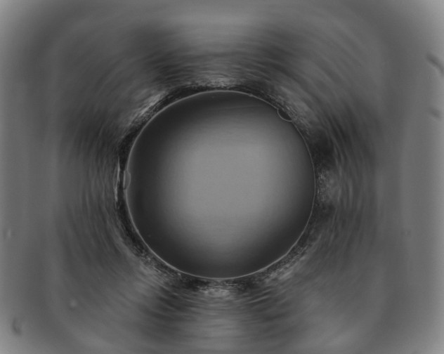X0000091580358200708271225