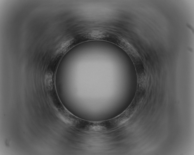 X0000091580360200708271225