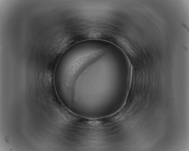X0000091580363200708271225