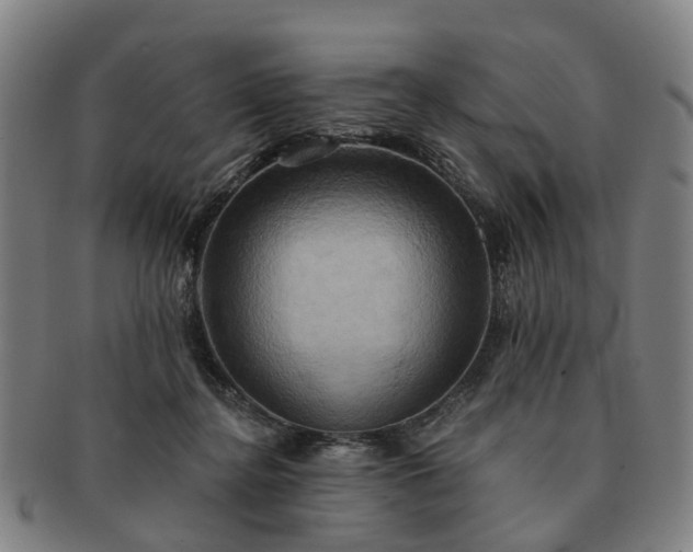 X0000091580364200708271225