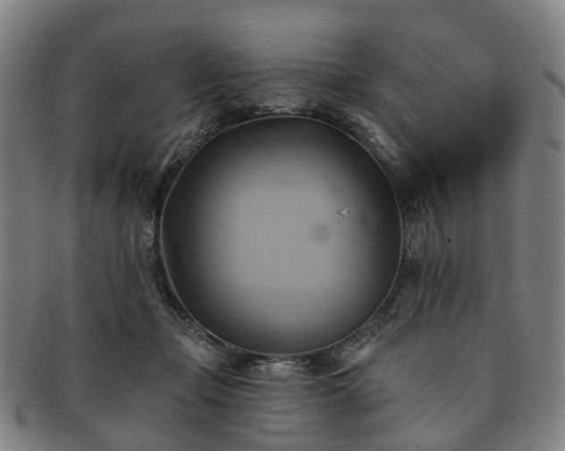 X0000091580365200708271226