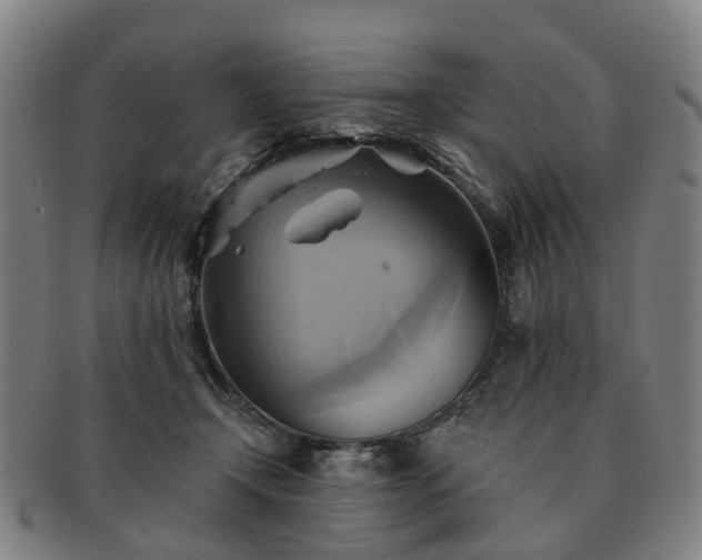 X0000091580366200708271226