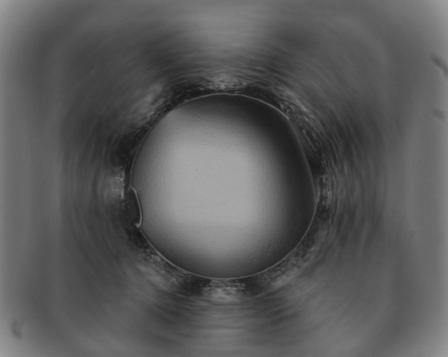 X0000091580368200708271226