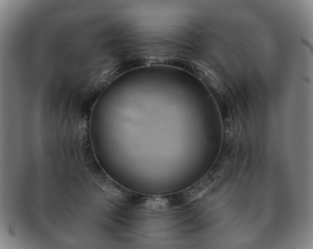 X0000091580369200708271226