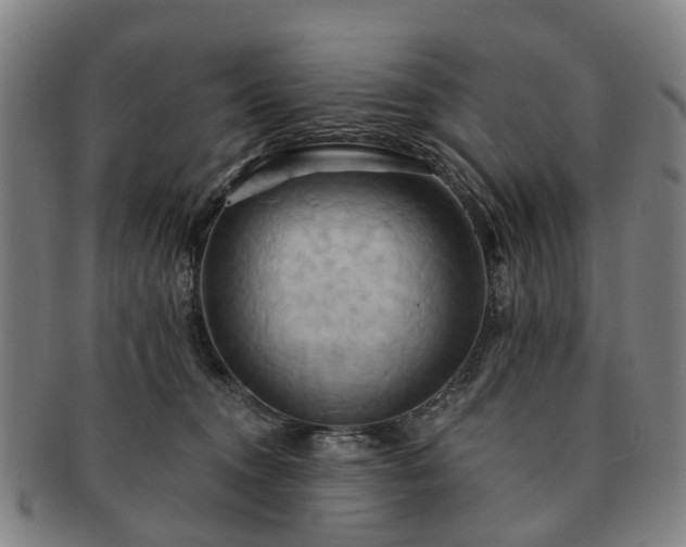 X0000091580372200708271226
