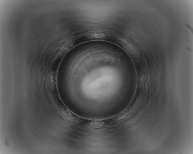 X0000091580373200708271226