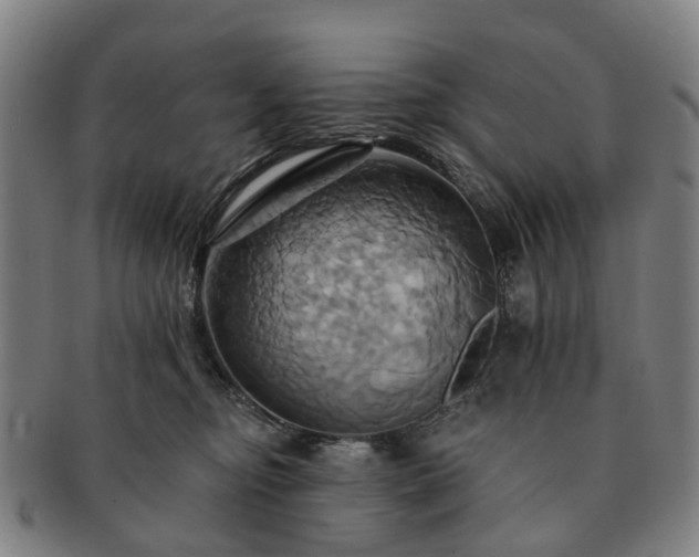 X0000091580374200708271226