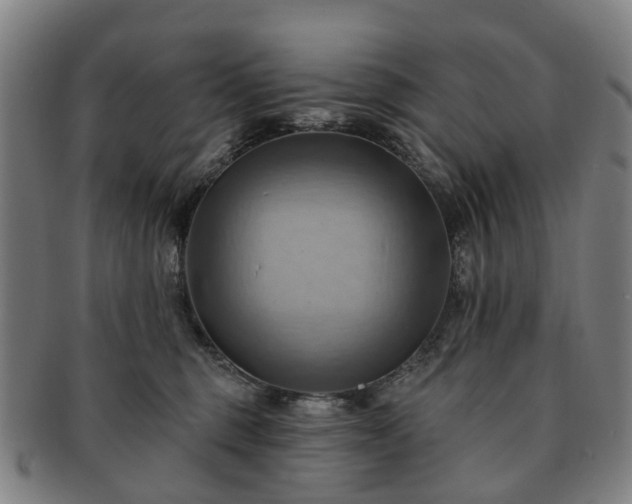 X0000091580375200708271226
