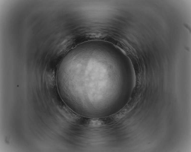 X0000091580376200708271226