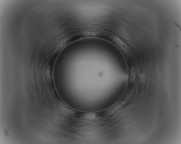 X0000091580377200708271226