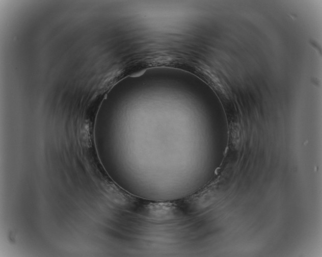 X0000091580378200708271226