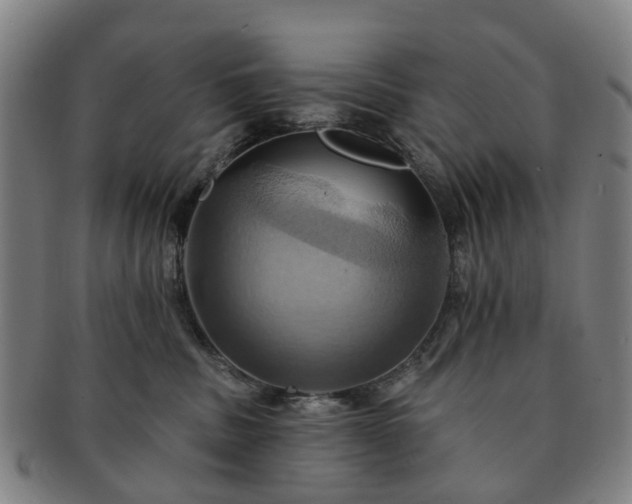 X0000091580379200708271226