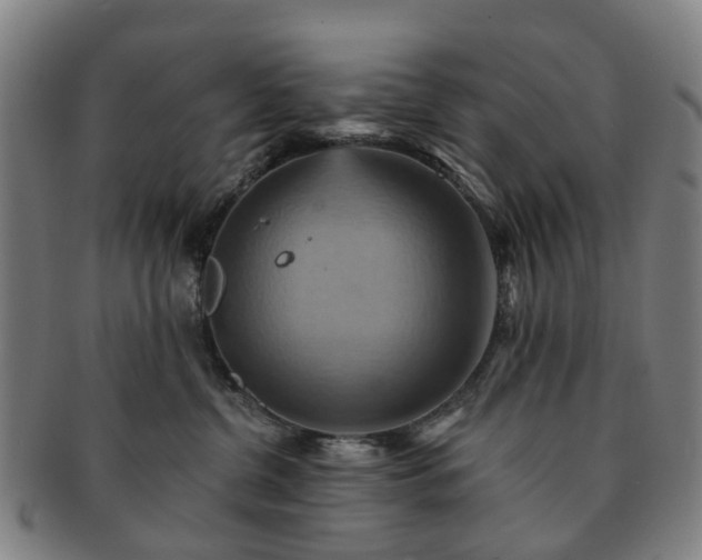 X0000091580380200708271226