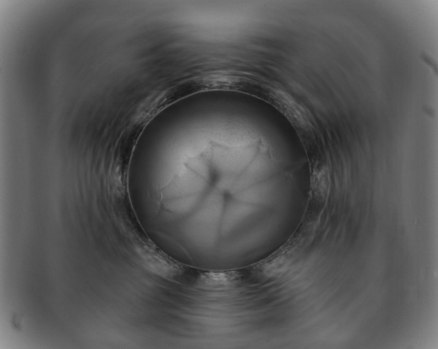 X0000091580381200708271226