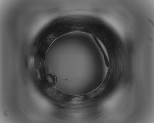 X0000091580382200708271226