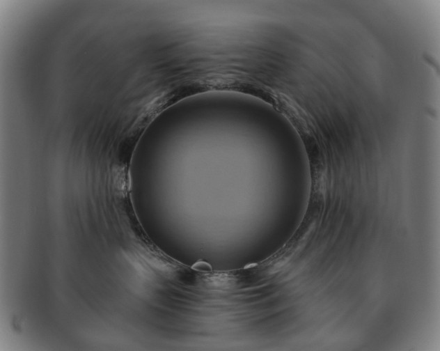 X0000091580383200708271226
